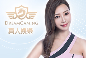 王者娛樂城DG真人